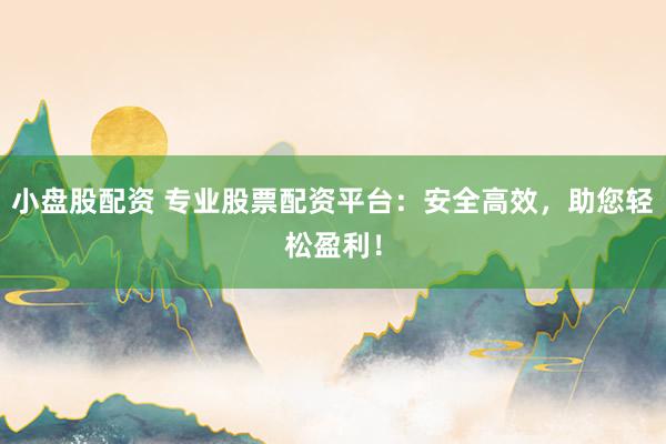 小盘股配资 专业股票配资平台：安全高效，助您轻松盈利！