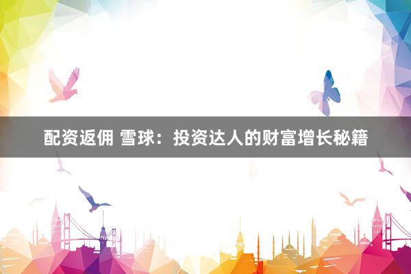 配资返佣 雪球：投资达人的财富增长秘籍