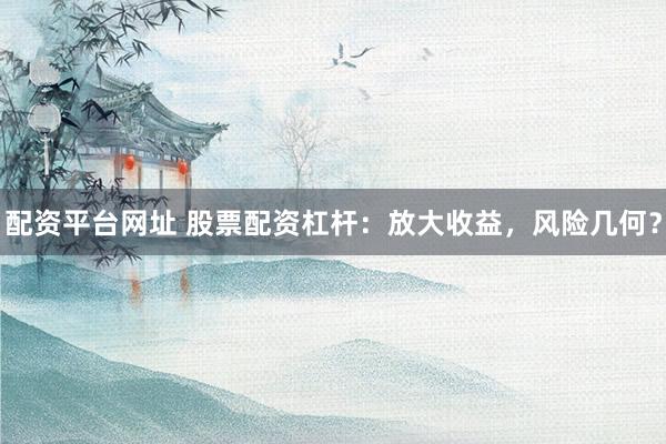 配资平台网址 股票配资杠杆:放大收益,风险几何?