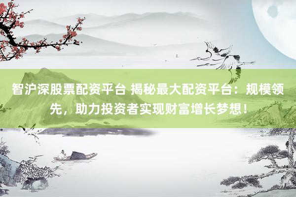 智沪深股票配资平台 揭秘最大配资平台：规模领先，助力投资者实现财富增长梦想！